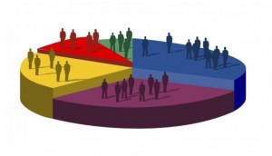 survey demographics