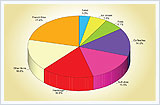 pie-chart-3D-survey-data