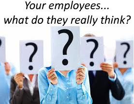 employee-surveys