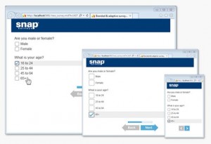 access survey template