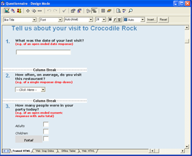 web survey