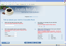 web survey