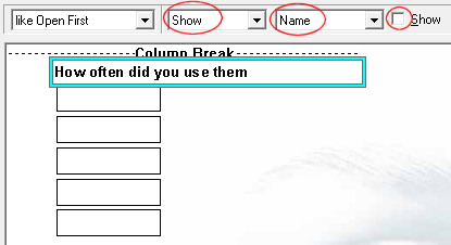 Show name highlighted on toolbar with example open first grid
