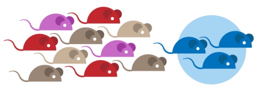 blue-mice2