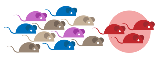 red-mice2