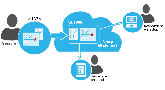 Web questionnaires: schematic