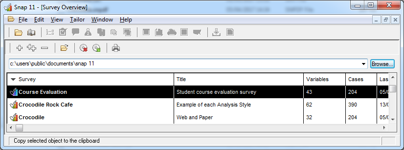 survey overview window