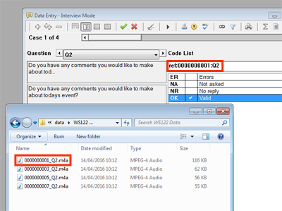 Q2 data entry & audio file windows