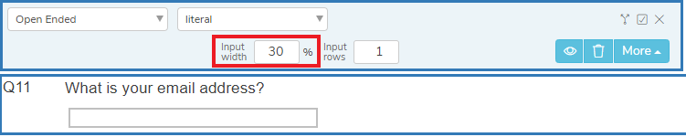 Open ended question with the Input width highlighted