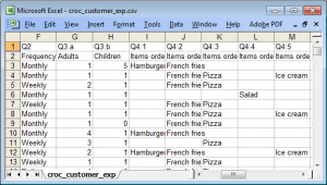 Importing spreadsheet data | SnapSurveys