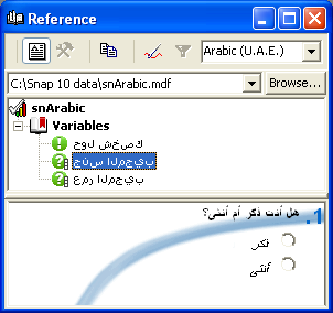 Rerference window showing Arabic questions