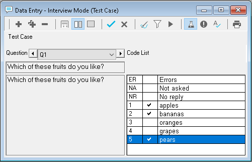 Testing the mask in the Data Entry window