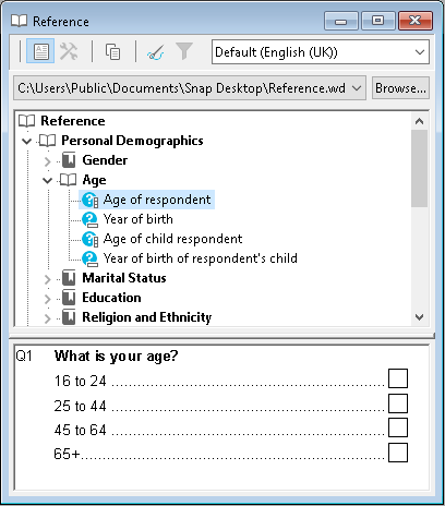 Reference window showing demographics questions