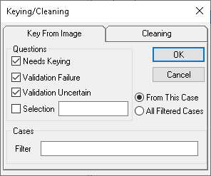 Key from image tab used to key in open ended questions or check validation errors