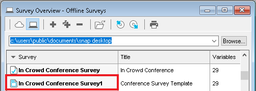 Survey overview window showing the offline template