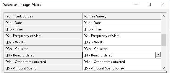 Mapping the survey questions