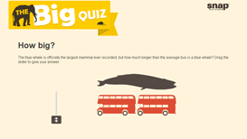 Big Quiz