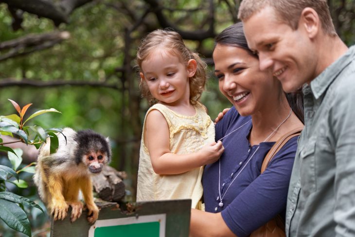 Visitor Attraction Survey | Snap Surveys