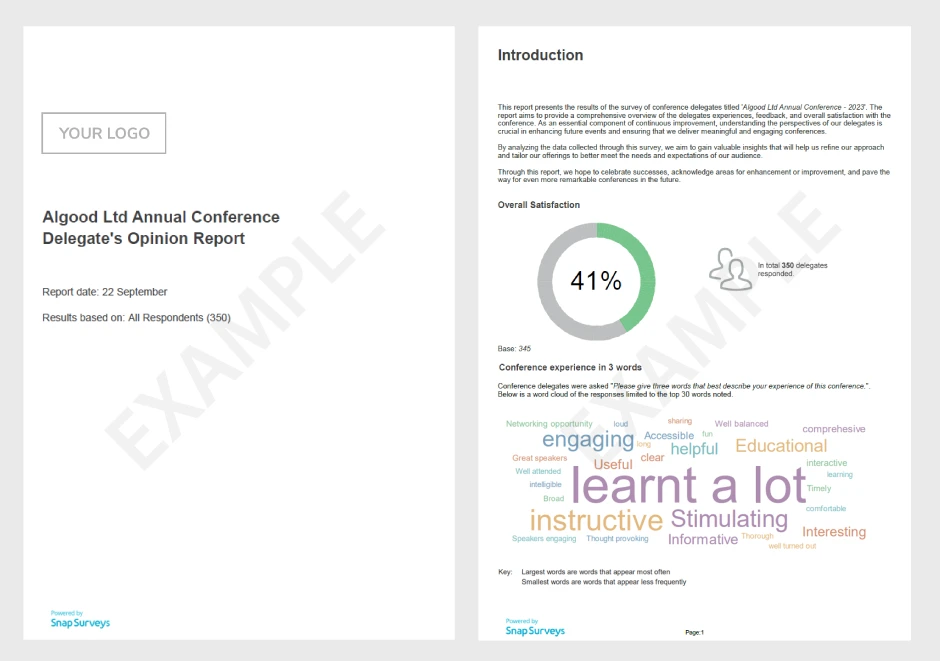 Conference survey report example pages
