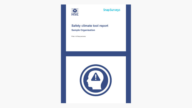 HSE report